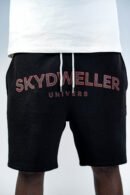 skyw