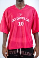 skydwellerunivers