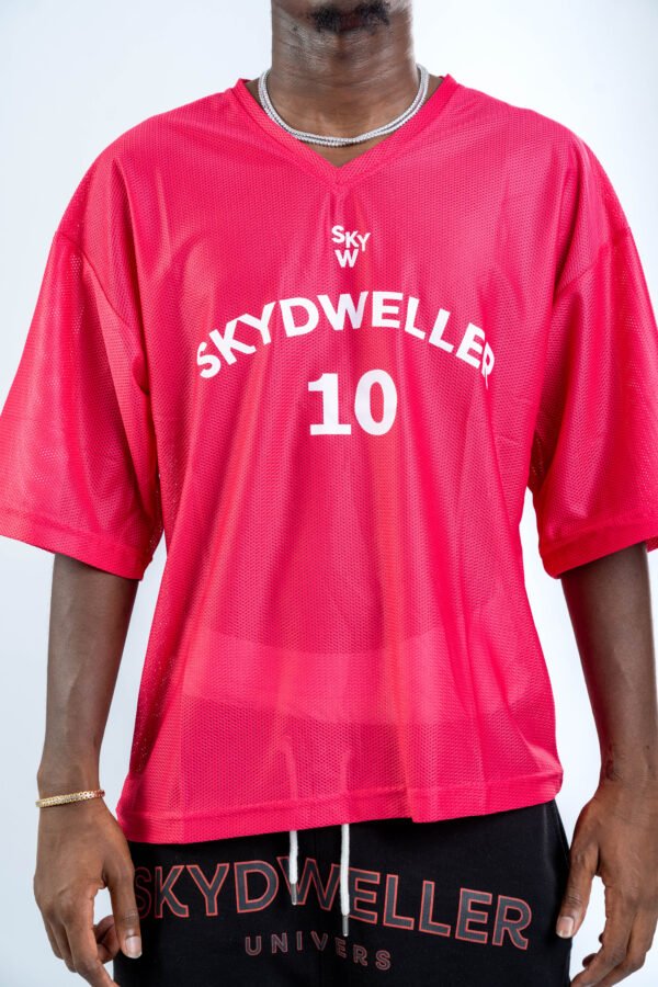 skydwellerunivers